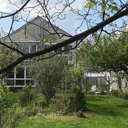 Ferienwohnung Rebenlaub Heringen  Exterior foto