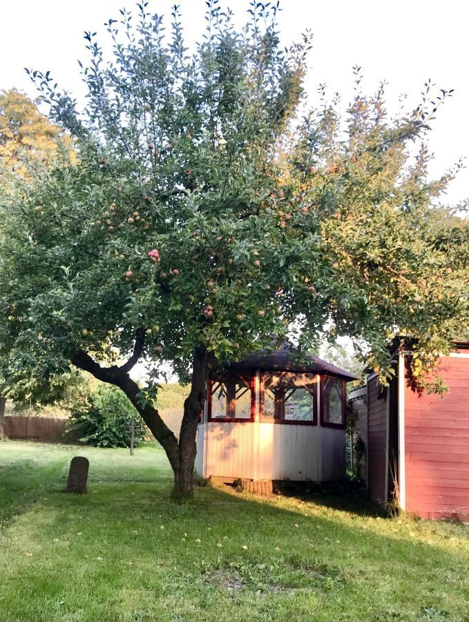 Ferienwohnung Rebenlaub Heringen  Exterior foto