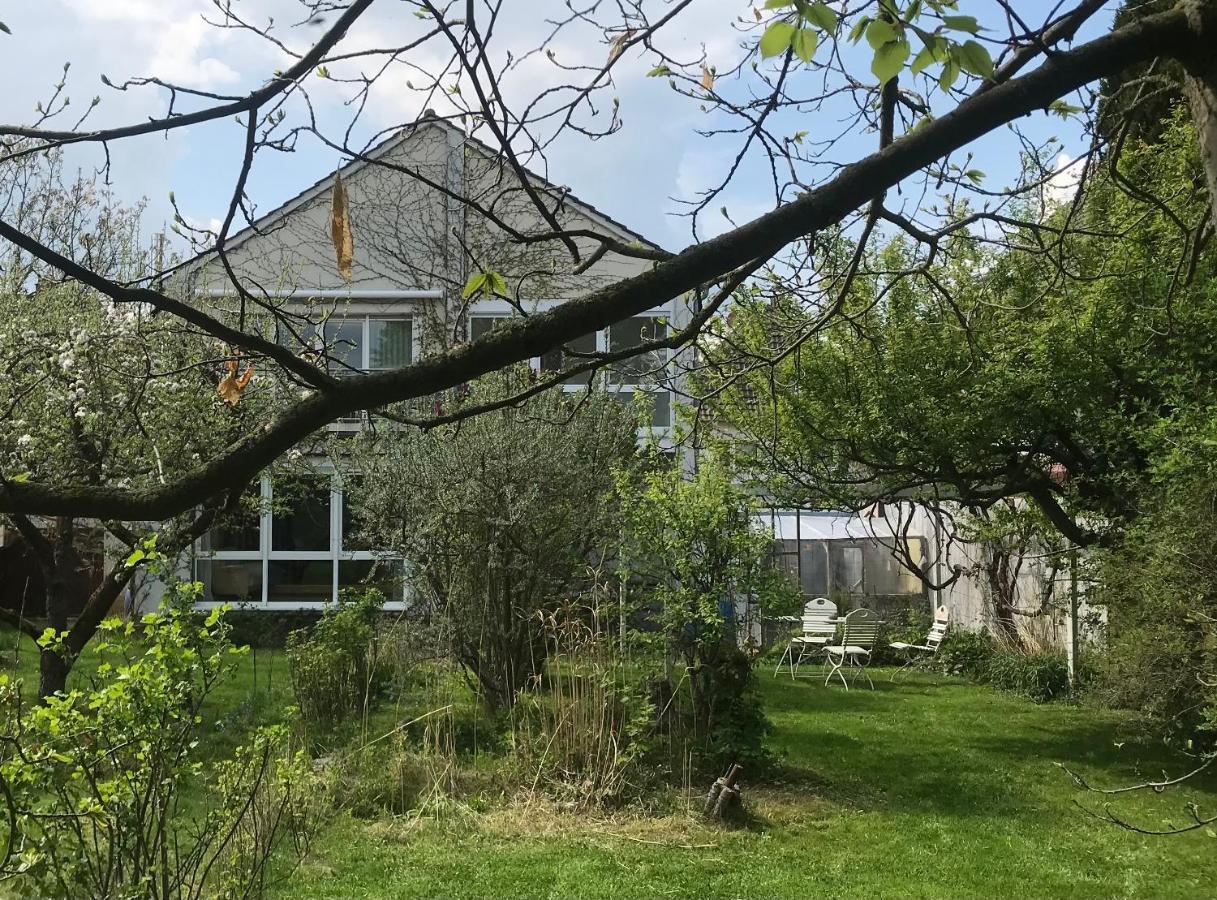 Ferienwohnung Rebenlaub Heringen  Exterior foto